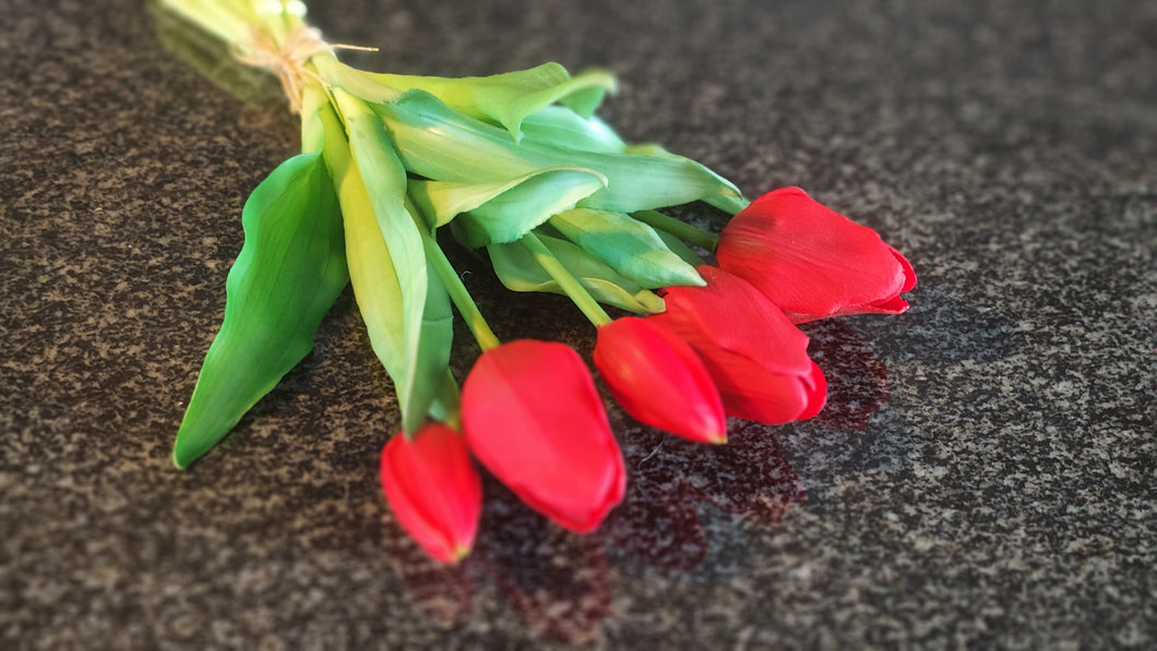 Tulpen und x 5