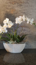 Lade das Bild in den Galerie-Viewer, Orchideen Gesteck &quot;Flora&quot;

